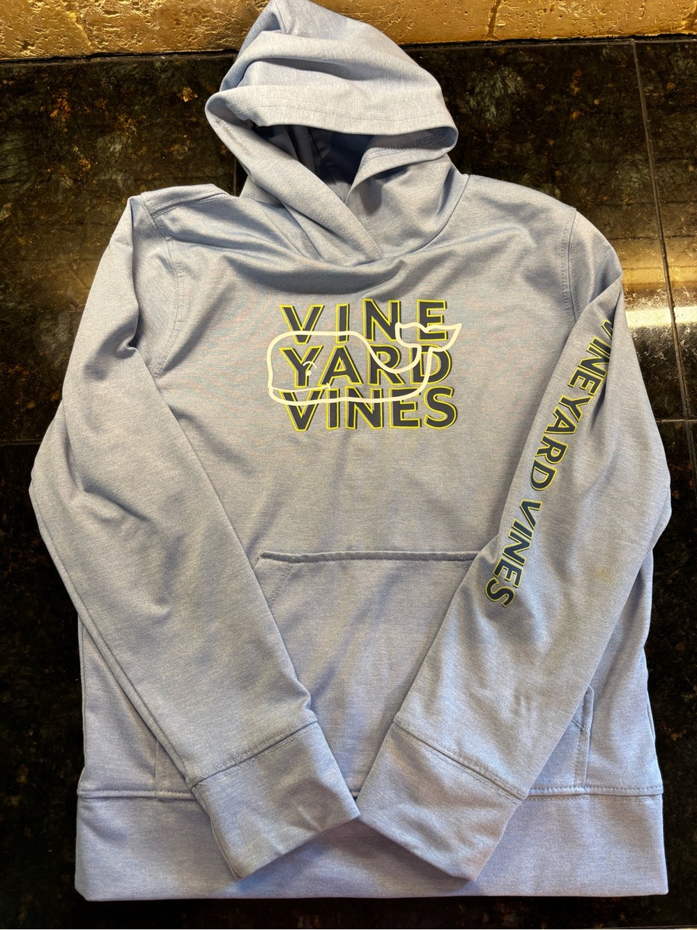 Vineyard Vines Light Blue Logo Hoodie Little Boys